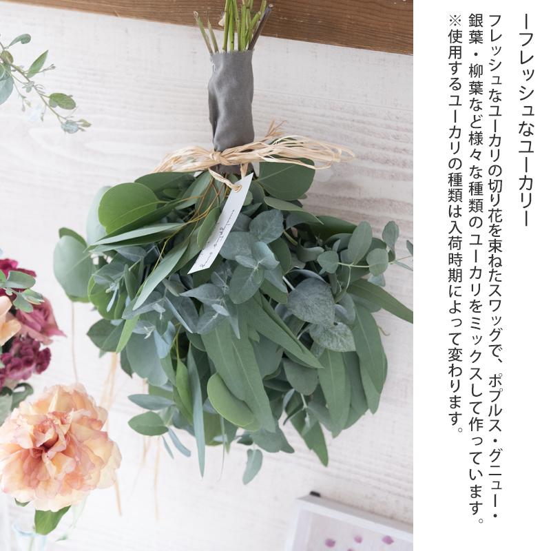 インテリア 玄関 壁飾り ユーカリ スワッグ おしゃれ 風水 生花 ドライ