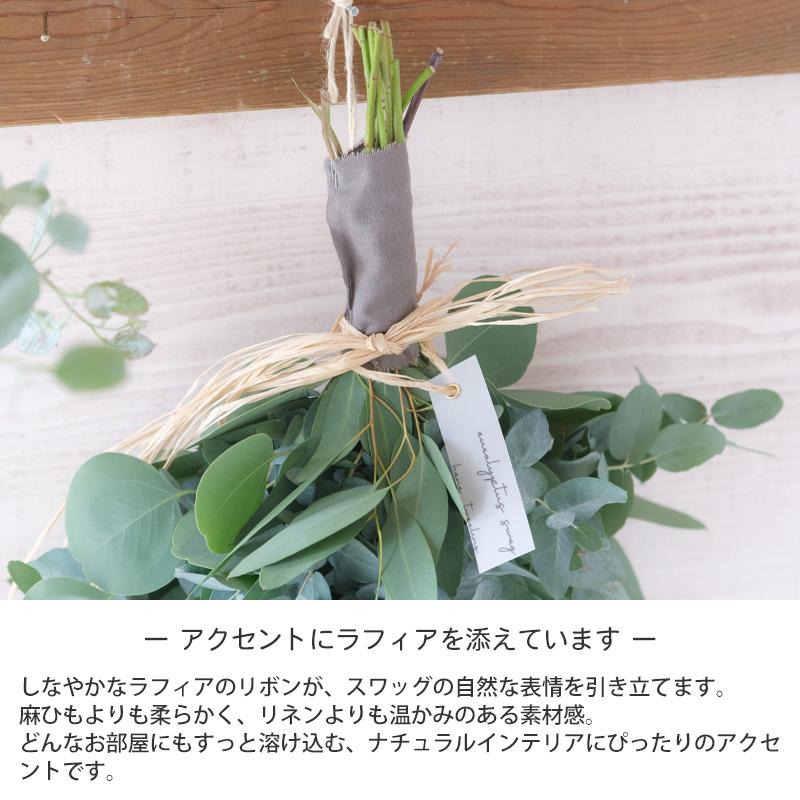 ドライフラワー ユーカリたっぷり季節のスワッグ ❤︎54