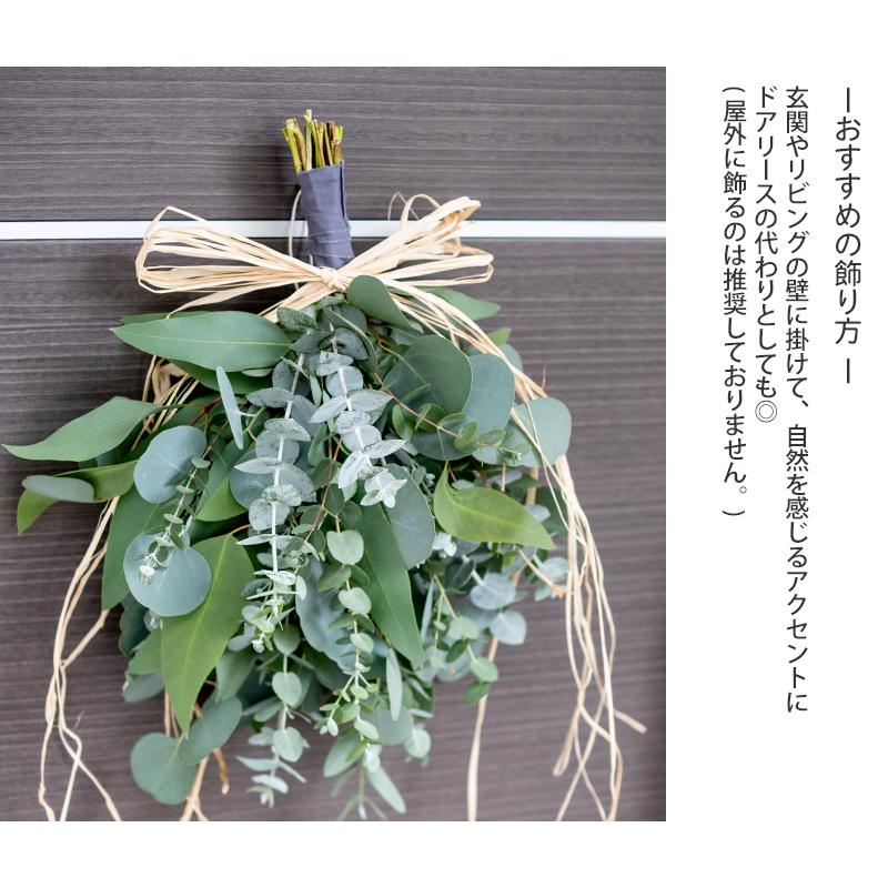 インテリア 玄関 壁飾り ユーカリ スワッグ おしゃれ 風水 生花