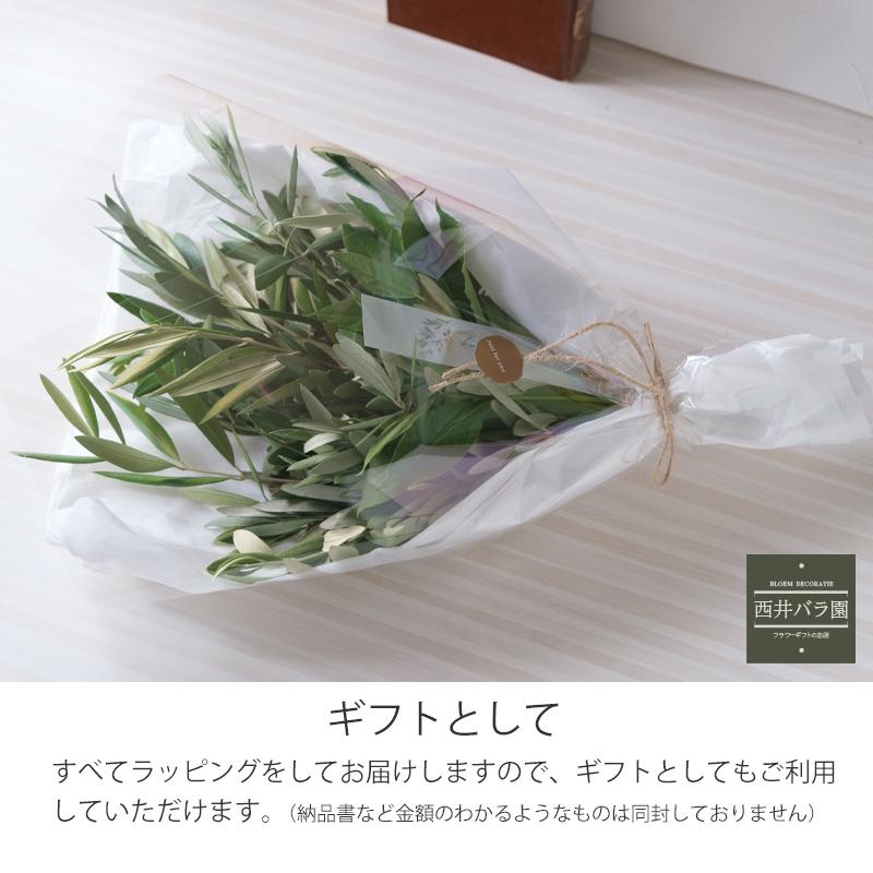オリーブ スワッグ おしゃれ インテリア 玄関 壁飾り 風水 生花 ドライ