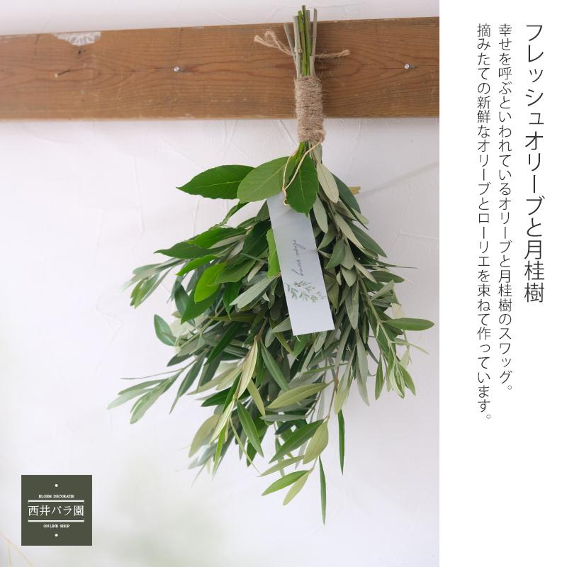 オリーブ スワッグ おしゃれ インテリア 玄関 壁飾り 風水 生花 ドライ