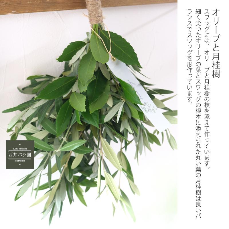 オリーブ スワッグ おしゃれ インテリア 玄関 壁飾り 風水 生花 ドライ