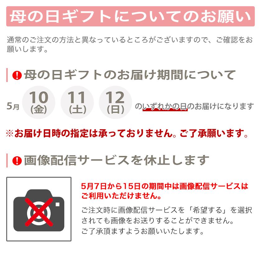 母の日 喜ばれる 予約   プリザーブドフラワー 壁掛け型 スワッグ おしゃれ 玄関 誕生日 喜寿 古希 お祝い お花 贈り物 敬老の日 インテリア｜baraen241｜18