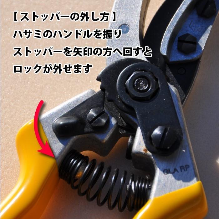 LEYAT】プロ使用☆カット&ホールド(はさみ.ハサミ.レイヤット) バラの