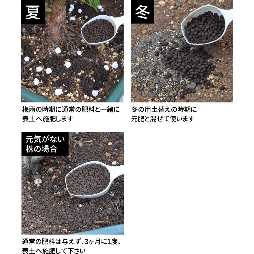 根を育てる肥料 1kg 【プレミアローズセレクション】 ZIK-10000 : バラ