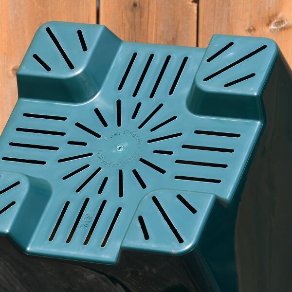 エリザベート　6号鉢　ロサオリエンティス　バラ 楽天市場】バラ苗【中苗】エリザベート 国産苗 6号鉢植え品