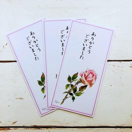 のし封筒3枚入り 御祝 お見舞い 多目的 お花料 橋本不二子 日本