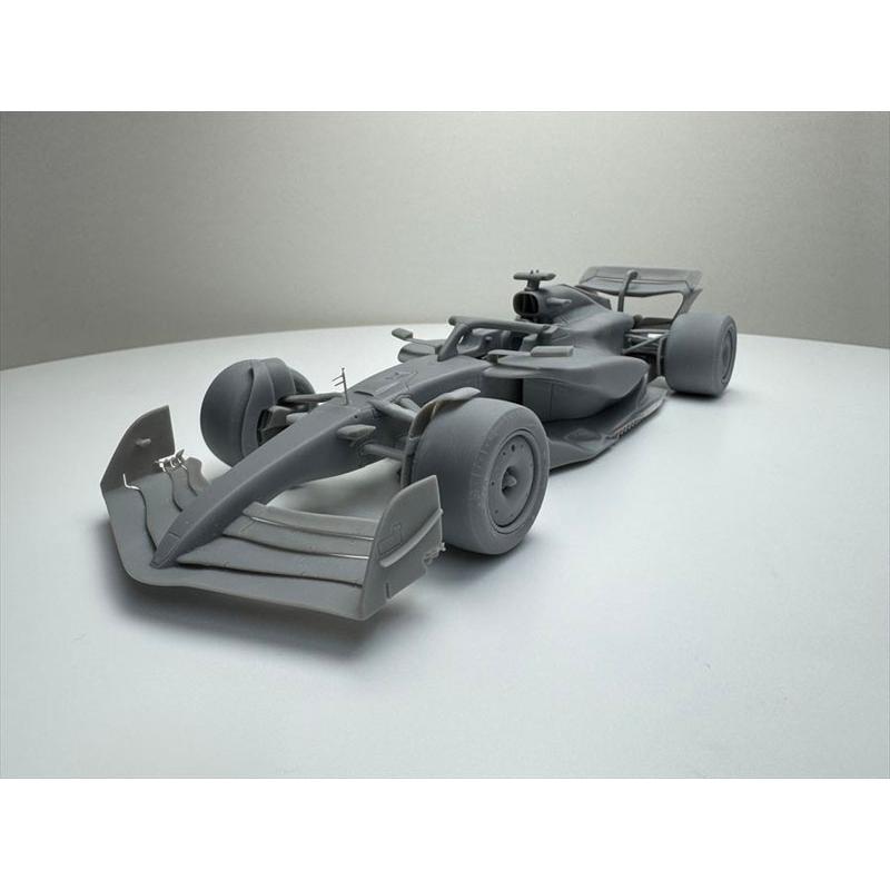 1/20 F1 2024年 20F25N6312Rd10 (W16 カナダGP 2025) 3Dプリント