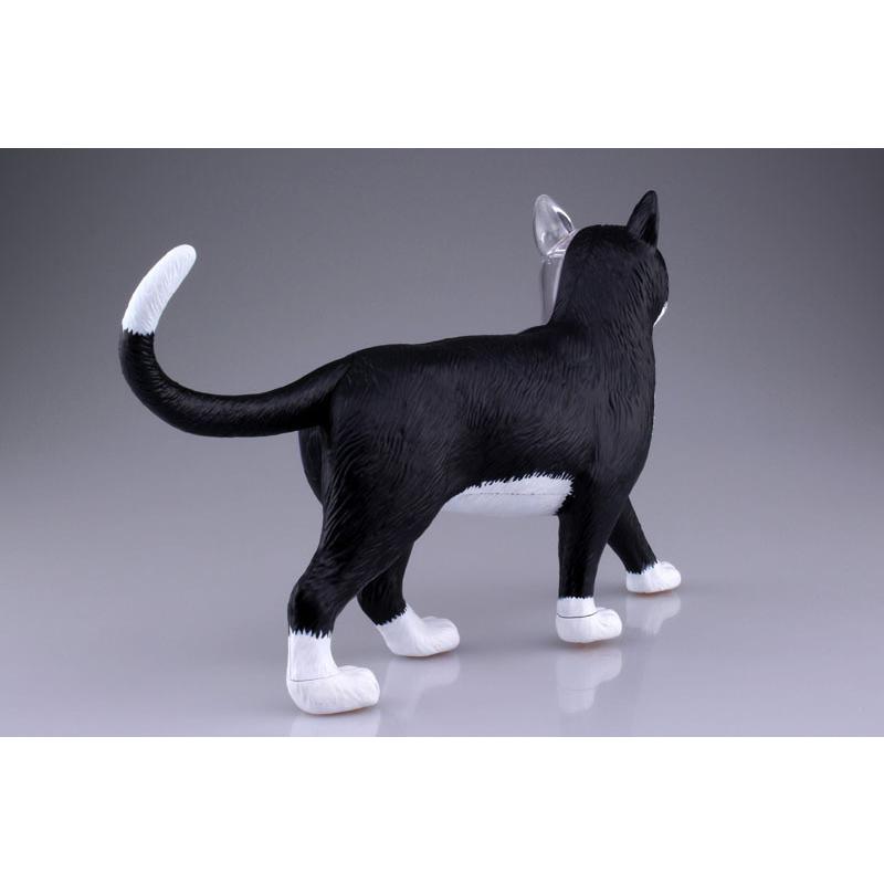 青島文化教材社 4D VISION 動物解剖モデル 猫解剖モデル 黒/白