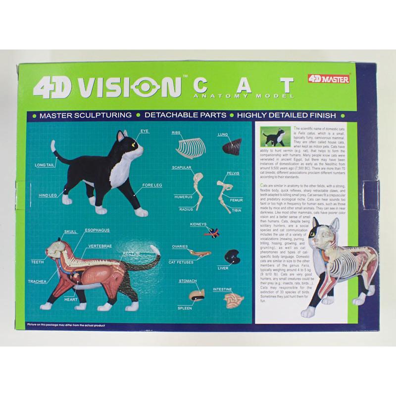 青島文化教材社 4D VISION 動物解剖モデル 猫解剖モデル 黒/白