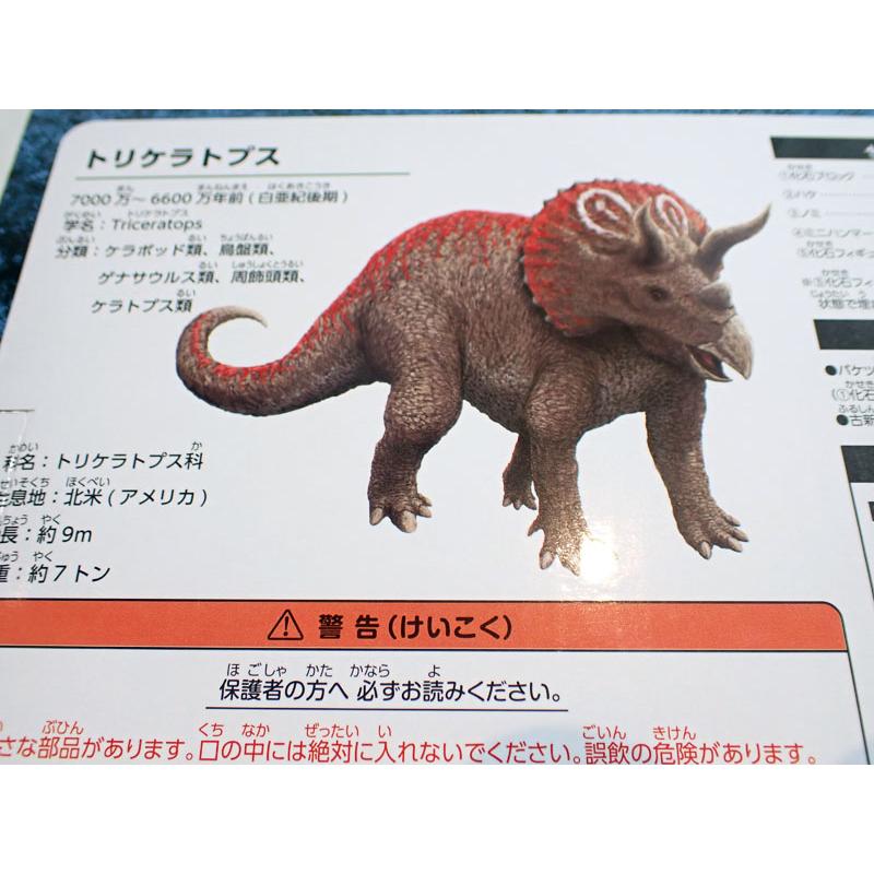 アーテック 化石発掘キット トリケラトプス【アーテック ARTEC 知育
