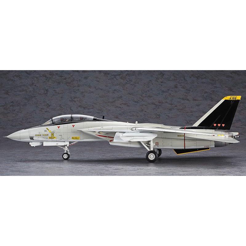 ハセガワ 「エリア88」 F-14A トムキャット “ミッキー・サイモン” 1/48
