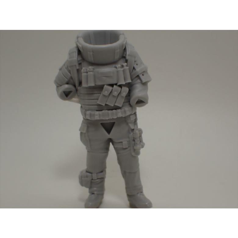 1/24 全てを灰にする ミュータントハンター ナッツプラネット