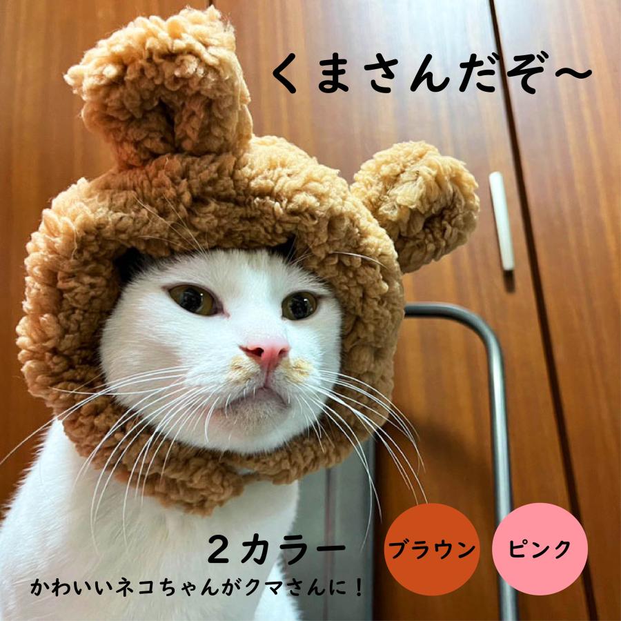 くまちゃんに変身！猫 帽子 くま クマ かぶりもの ペット帽子 被り物