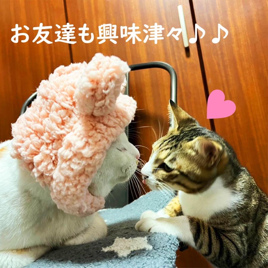 くまちゃんに変身！猫 帽子 くま クマ かぶりもの ペット帽子 被り物