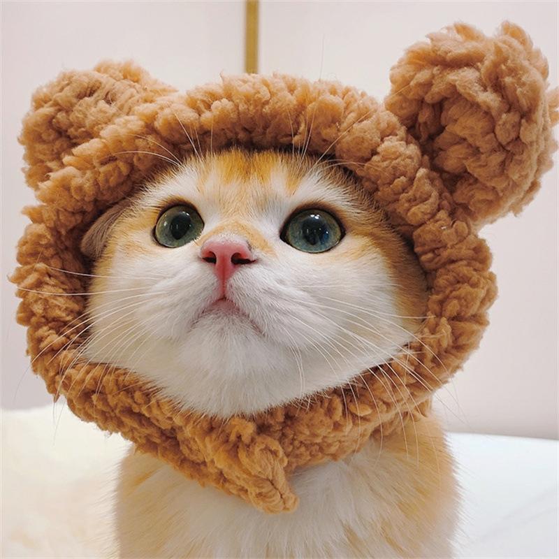 ブライス　被り物　くま帽 くまちゃんに変身！猫 帽子 くま クマ かぶりもの ペット帽子 被り物