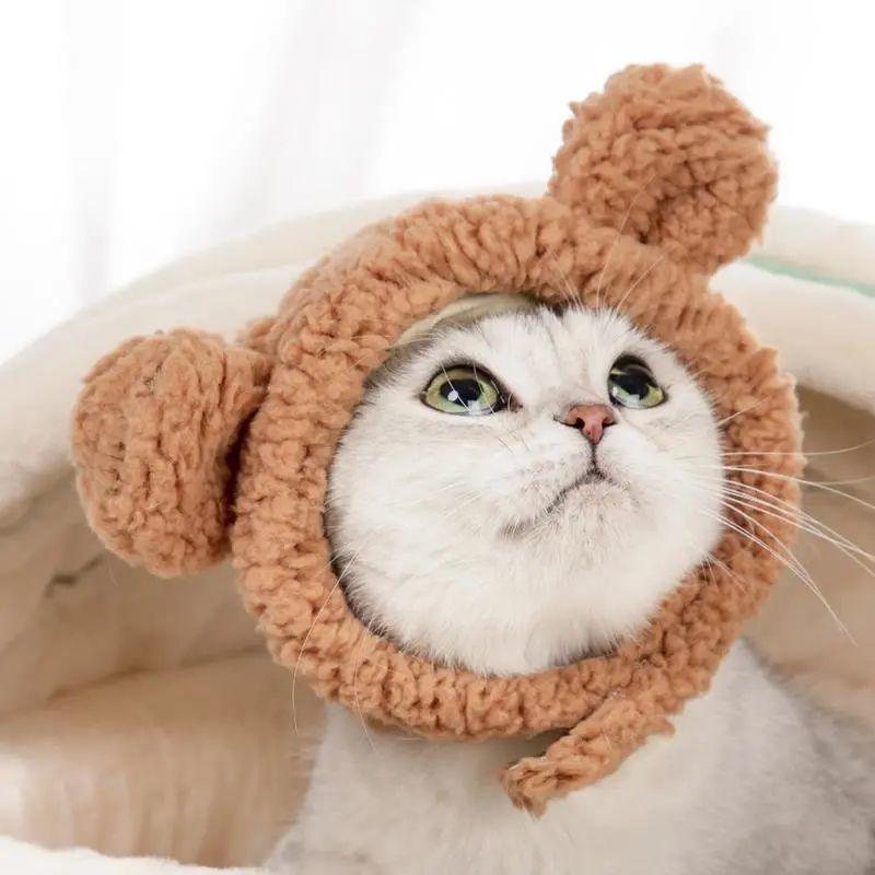 くまちゃんに変身！猫 帽子 くま クマ かぶりもの ペット帽子 被り物