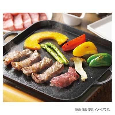 鉄板 角型 プレート 27×27cm 鉄鋳物製 スプラウト HB-6112 パール金属