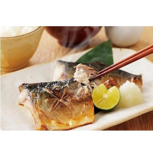 電子レンジ専用 調理器具 スピードクック 角深型 1個 HC-103 焼き魚 魚