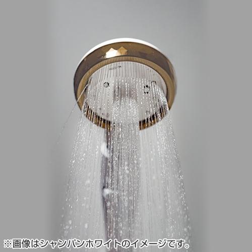 100％品質 専用です。アラミック 新品 シャンパンホワイト シャワー