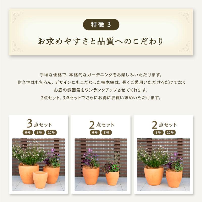 植木鉢 おしゃれ テラコッタ E30 3点セット : 植木鉢・テラコッタ専門