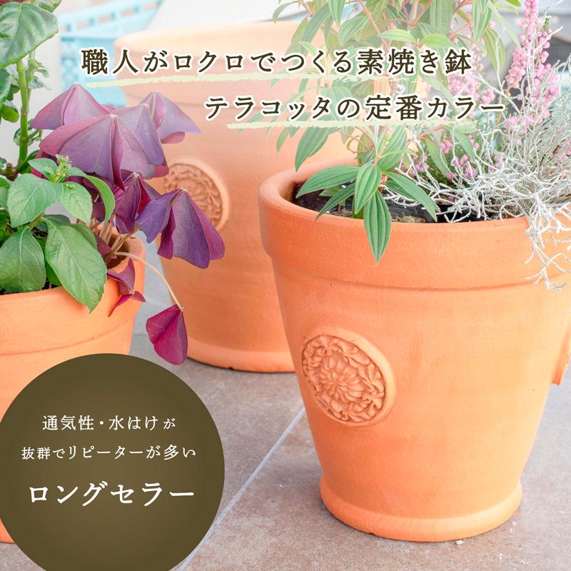 植木鉢 おしゃれ テラコッタ E39 Lサイズ : 植木鉢・テラコッタ専門店