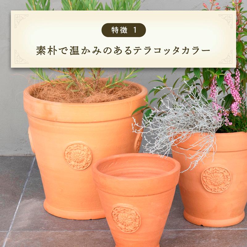 植木鉢 おしゃれ テラコッタ E39 Lサイズ : 植木鉢・テラコッタ専門店