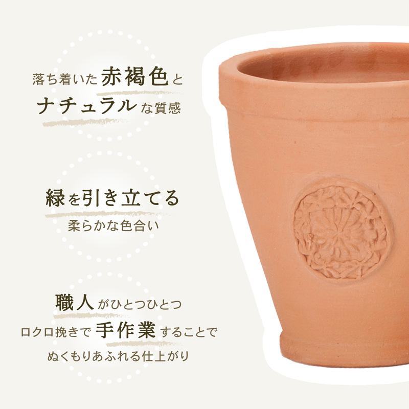 植木鉢 おしゃれ テラコッタ E39 Lサイズ : 植木鉢・テラコッタ専門店