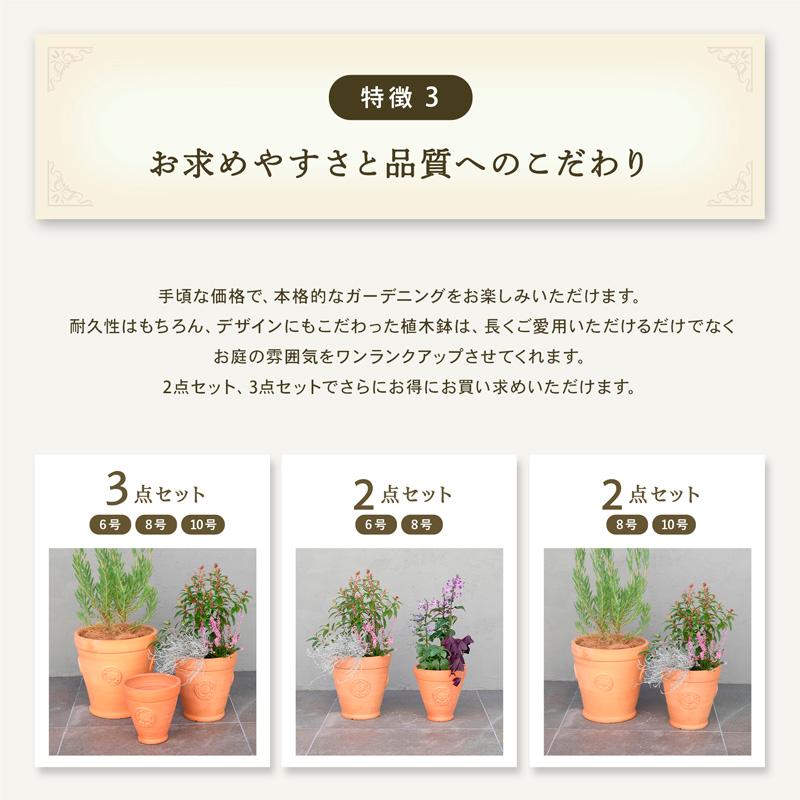 薔薇装飾カップ型大型テラコッタ 植木鉢・フリルエッジテラコッタ植木鉢　2個セット 植木鉢 おしゃれ テラコッタ E39 Lサイズ : 植木鉢・テラコッタ専門店