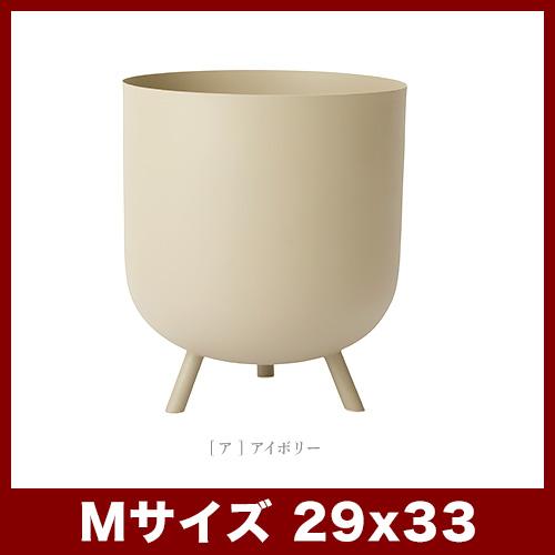 フェルモ レギッド M 29_1