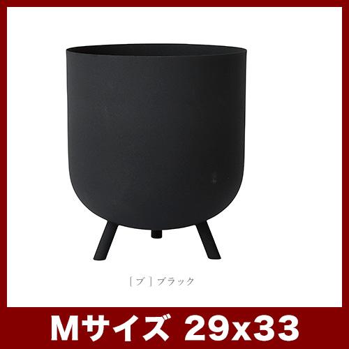 フェルモ レギッド M 29_2