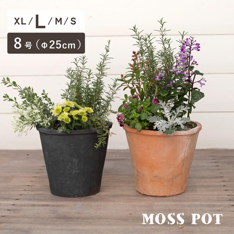 植木鉢 陶器鉢 モスポット 408L 8号 : 植木鉢・テラコッタ専門店バージ