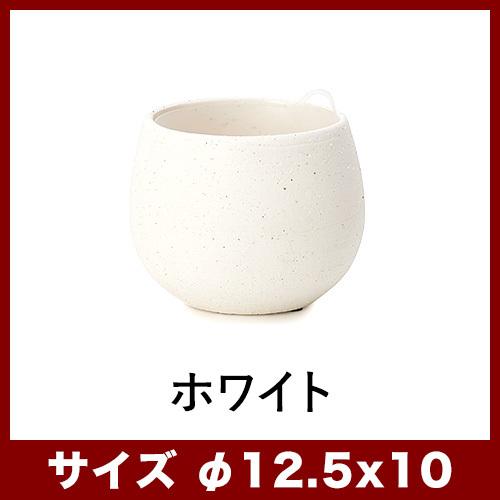 フィカス　リラータ　イヴォンヌ　白斑入り　3号鉢つき　3株セット❗激レア❗ フィカス スウィートハート】トライアンギュラリス／斑入りフィカス