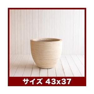 マラカ　クリームウォッシュ　RD　37