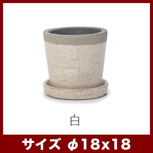 植木鉢 陶器鉢 リジュー クリーパ 6号 受け皿付き : 植木鉢