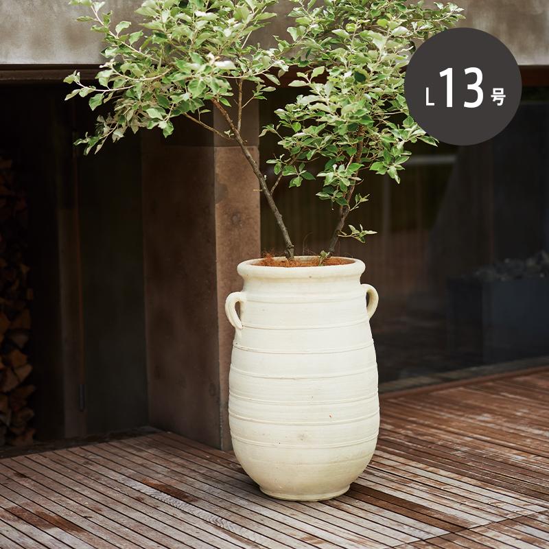 園芸用品 チュニジアジャー ポット 植木鉢