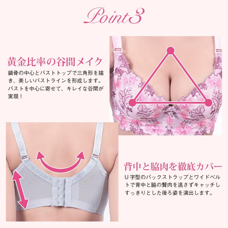 ブラジャー ショーツ セット 脇高 大きい レース  安い 大きいサイズ 上下セット 盛りブラ 盛りブラジャー 下着セット ブラセット 送料無料 | ブランド登録なし | 17