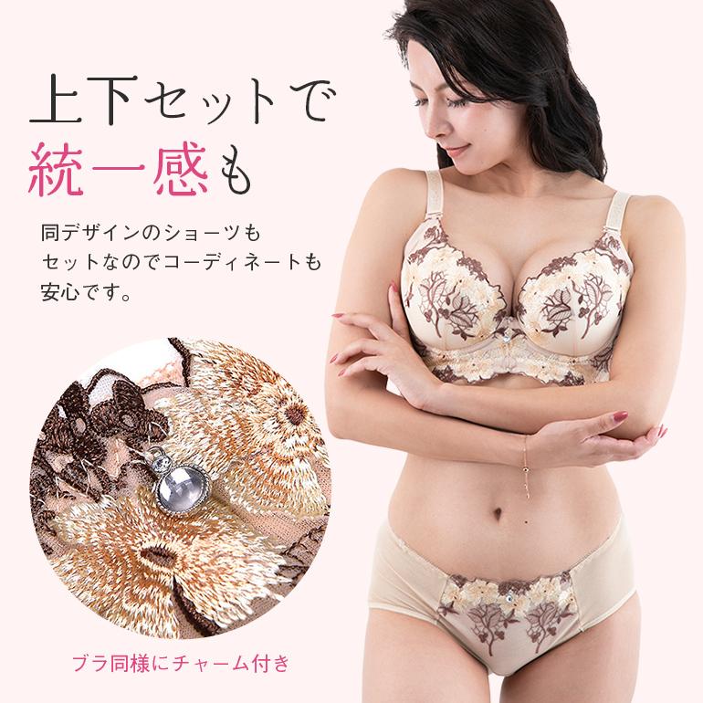 ブラジャー ショーツ セット 脇高 大きい レース  安い 大きいサイズ 上下セット 盛りブラ 盛りブラジャー 下着セット ブラセット 送料無料 | ブランド登録なし | 20