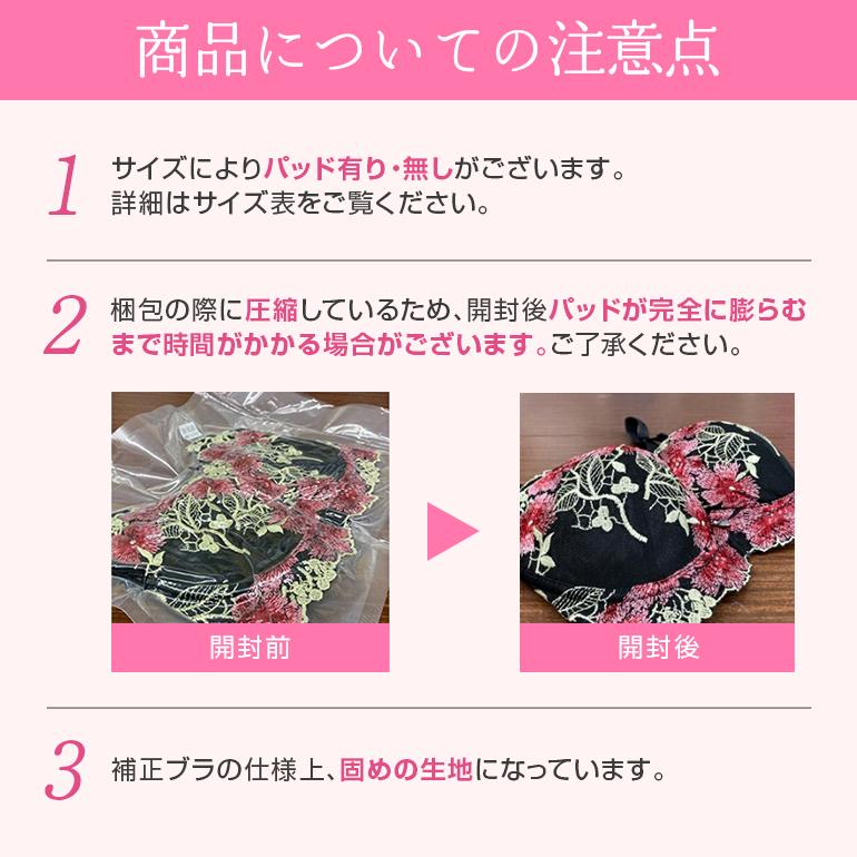 ブラジャー ショーツ セット 脇高 大きい レース  安い 大きいサイズ 上下セット 盛りブラ 盛りブラジャー 下着セット ブラセット 送料無料 | ブランド登録なし | 22