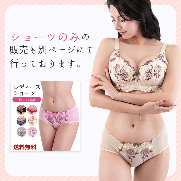 ブラジャー ショーツ セット 脇高 大きい レース  安い 大きいサイズ 上下セット 盛りブラ 盛りブラジャー 下着セット ブラセット 送料無料 | ブランド登録なし | 24