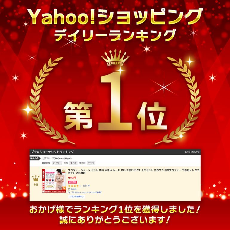 ブラジャー ショーツ セット 脇高 大きい レース 安い 大きい