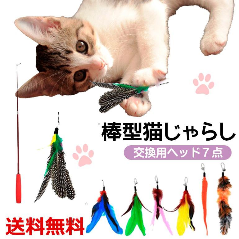 棒型猫じゃらし ねこじゃらし ネコじゃらし 猫おもちゃ 釣り竿 天然鳥羽 鈴付き 猫用品 猫グッズ 送料無料 Catnip0331 Baris 通販 Yahoo ショッピング