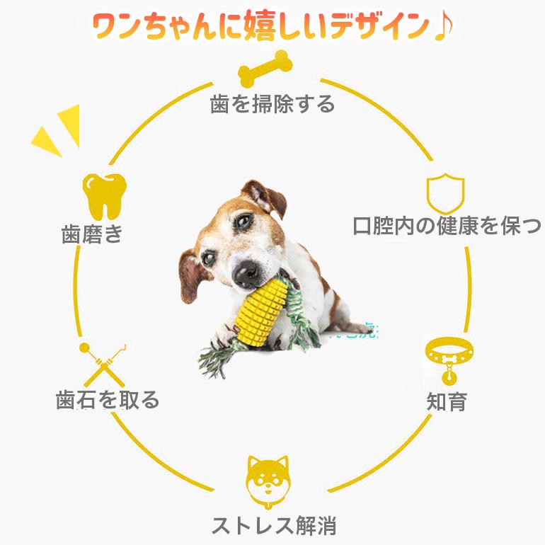 犬おもちゃ 噛む 動く ロープ 頑丈 人気 持ってくる 音 人気 ゴム 丈夫 安全 長い 小型犬用 かむおもちゃ デンタル 犬用おもちゃ 送料無料 Peta403 Baris 通販 Yahoo ショッピング