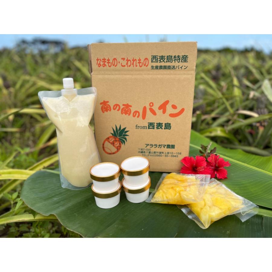 パイナップル カット 冷凍 2袋 ジュース 1本 アイス アイスクリーム 4