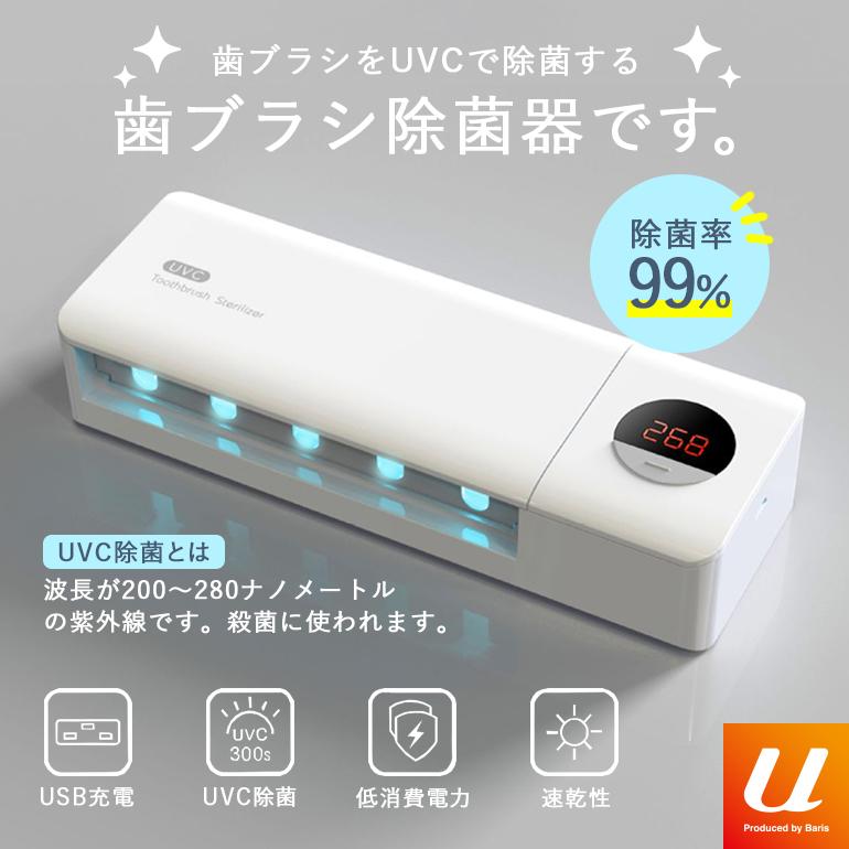 歯ブラシ除菌器 壁掛け コンパクト 充電式 紫外線 UV-C 歯ブラシ