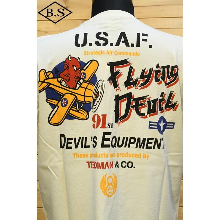 テッドマン TEDMANＴシャツ TDSS-555 U.S.A.F flying devil｜barnstormer2｜13