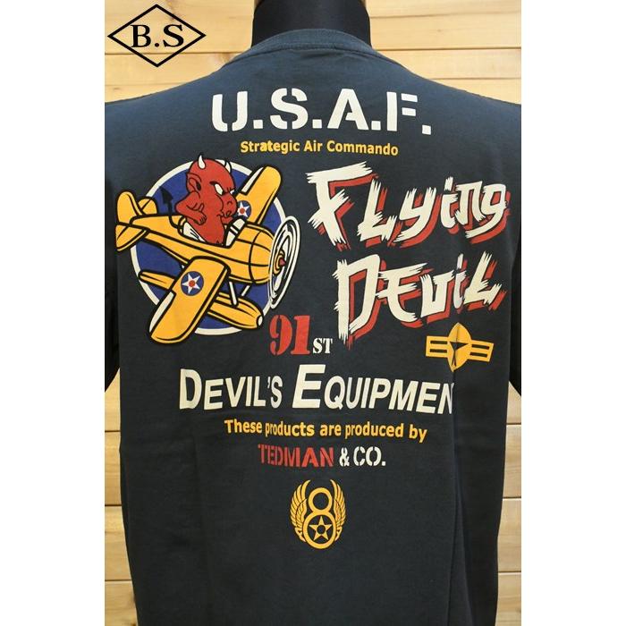 テッドマン TEDMANＴシャツ TDSS-555 U.S.A.F flying devil｜barnstormer2｜05