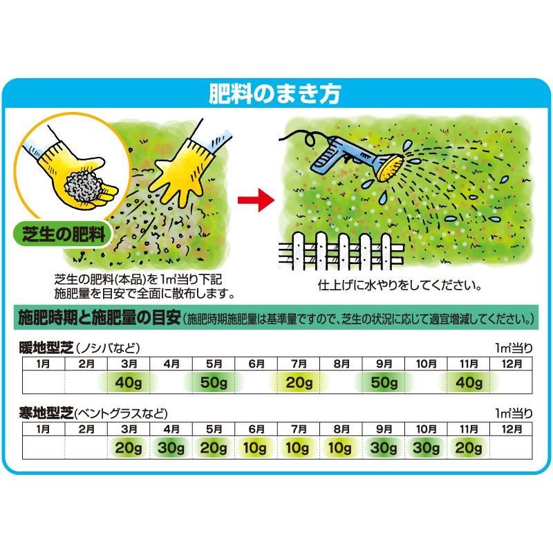 芝生 肥料 バロネス 芝生の肥料 5kg入り 緩効性IB窒素入り化成肥料 細粒タイプ 芝生の手入れ 散布時期は3月から11月｜baroness｜07