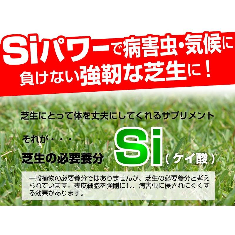芝生 肥料 春から夏に効く液体肥料 バーディーラッシュsi 1kg入り si 芝生のことならバロネスダイレクト 通販 Yahoo ショッピング
