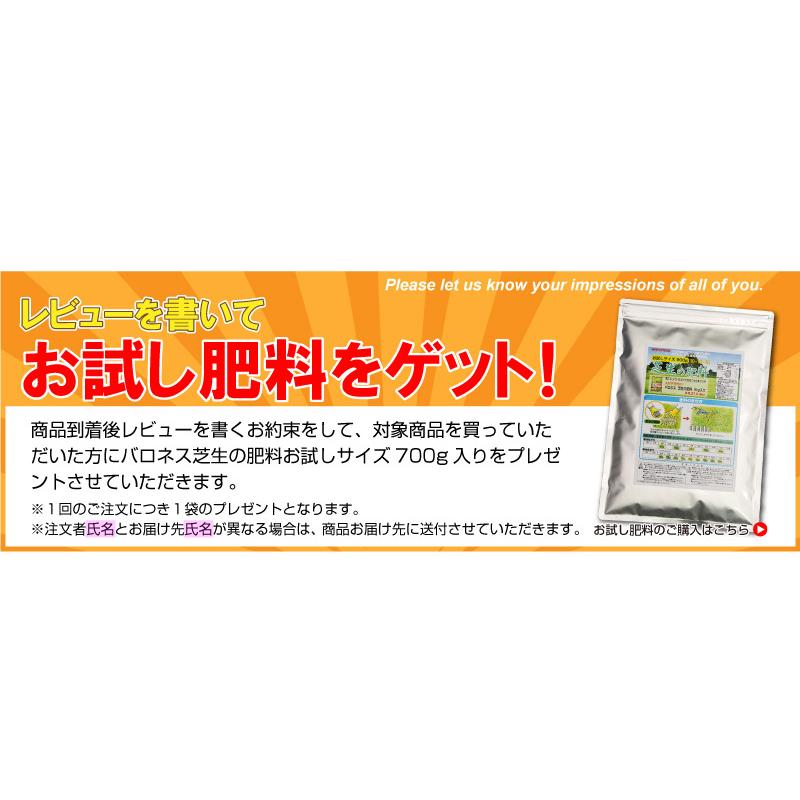 芝刈り機 手動式 バロネス LM4D 家庭用リール式 刈幅30cm 芝生の手入れ 刃研ぎ研磨機能付き 小型 手押し式｜baroness｜18